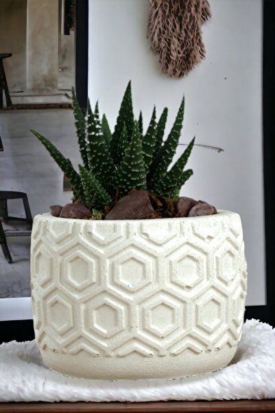 Viselia Kaktüs Saksısı Sukulent El Yapımı Saksı Balkon Çiçek Saksısı Ev Saksı...