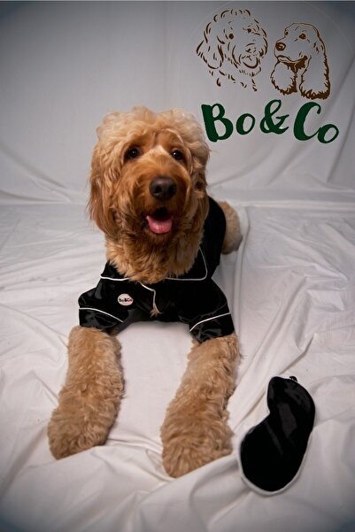 Köpek Saten Pijama