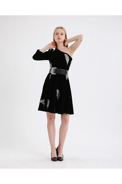 WESTBRAND Embroidered Flocked Velvet One-Shoulder Dress