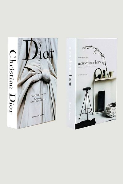 BayCazip Decorative Book-Looking Box of 2