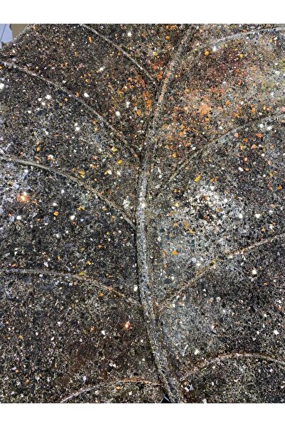 Vitale Mozaik Yaprak Duvarlık Dekor 1 51*5*71 Cm