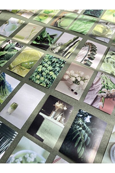 Hume Craft ملصق دفتر الملاحظات الجمالي الأخضر كتيب مجلة رصاصة ملصق / دفتر / ملصق جدول الأعمال / ملصق