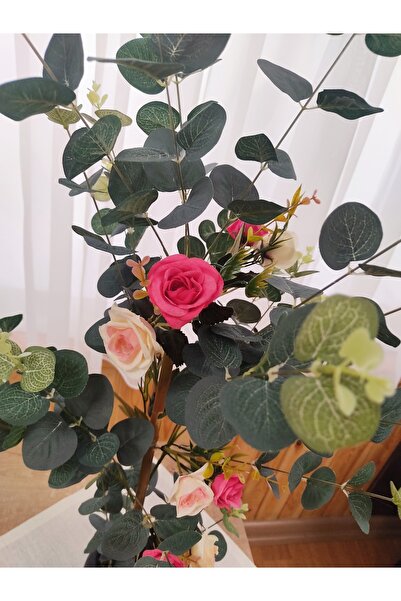 Cennet Home Okaliptüs Yabangülü Ağacı Doğal Görünümlü Plastik Saksıda