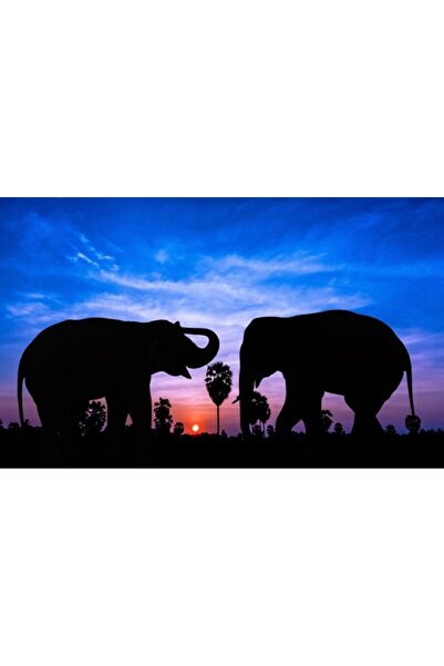 Genel Markalar Hı Stone 5d Elmas Boncuk Taş Işleme Mozaik Goblen Kit 50x40cm ...