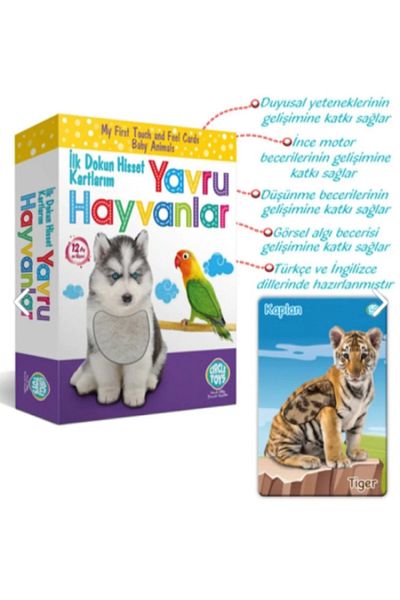 Circle Toys My First Touch Feel Diagnostic Cards Baby Animals