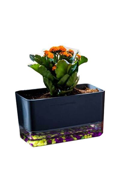 Fırsat Oyuncak Akıllı Saksı Dekoratif Dikdörtgen Akıllı Saksı