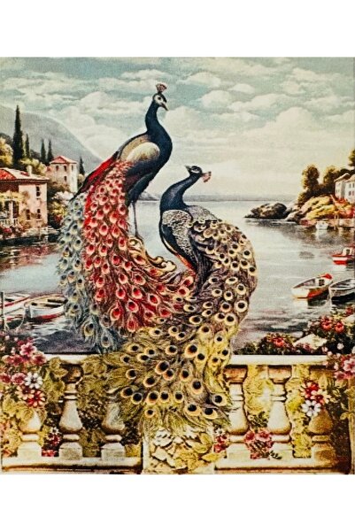 Genel Markalar Hı Stone 5d Elmas Boncuk Taş Işleme Mozaik Goblen Kit 50x40cm Gc84257