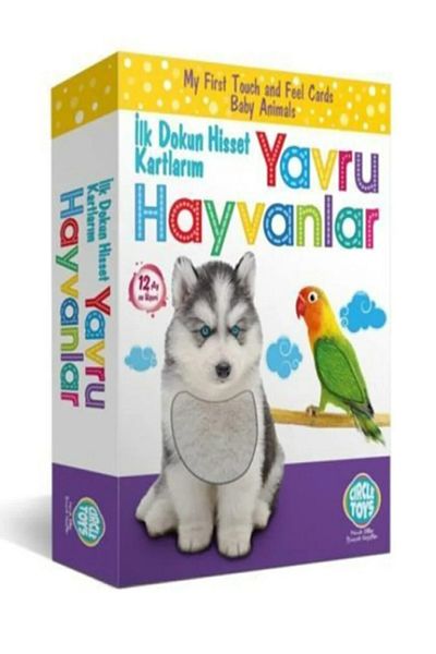 Circle Toys My First Touch Feel Diagnostic Cards Baby Animals