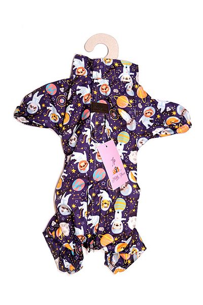 Fluffy Paws Space Adventure Dog Raincoat