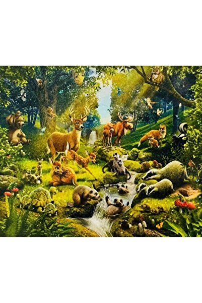 Genel Markalar Hı Stone 5d Elmas Boncuk Taş Işleme Mozaik Goblen Kit 50x40cm Gc84277