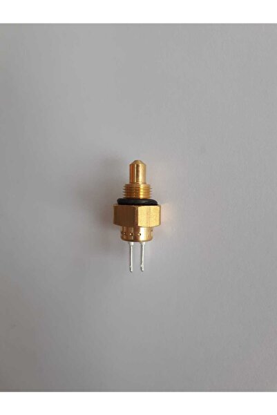 Eca Calora Ntc Sensör Daldırma Tip/ Confeo Ntc Sensör . Proteus Orginal