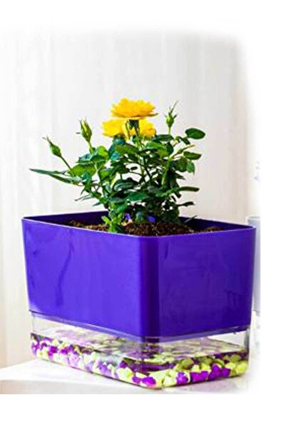Fırsat Oyuncak Akıllı Saksı Dekoratif Dikdörtgen Akıllı Saksı