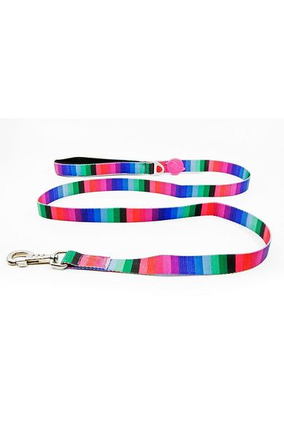 Tailpetz طوق مشي للكلاب من Wave Leash متوسط
