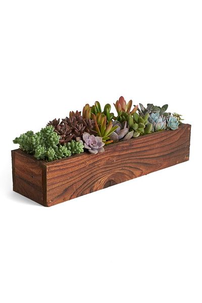 Esci Design Wooden Decorative Box, Oil Pot, Wooden Basket, Organizer Box, Organizer Box