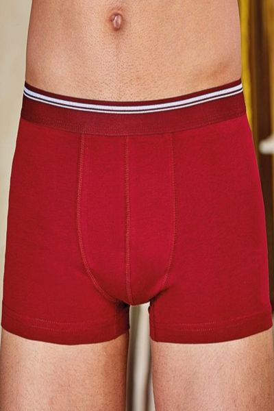 Berrak Ανδρικό Claret Red 12 Pack Lycra Boxer