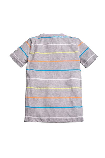 Hogg Light Gray Boy's Striped Round Neck T-shirt 2I2836