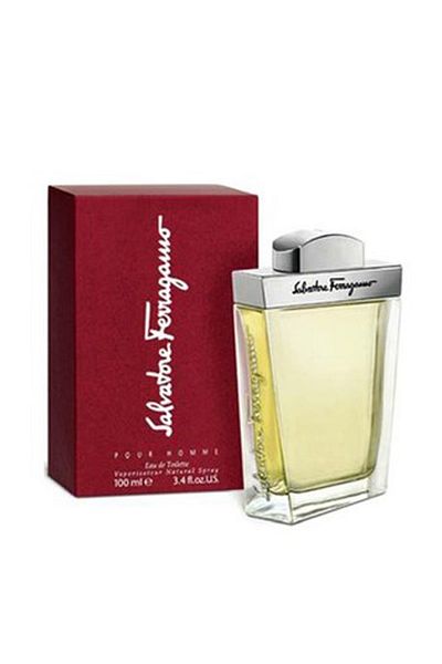 Salvatore Ferragamo For Men Edt 100 ml Men's Perfume646875431527