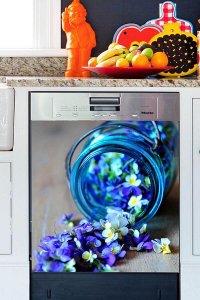 Tilki Dünyası Autocolant pentru ușa mașinii de spălat vase Magic of Blue