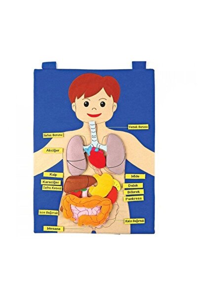 Genel Markalar Cırtlı İnsan Vücudu Pano