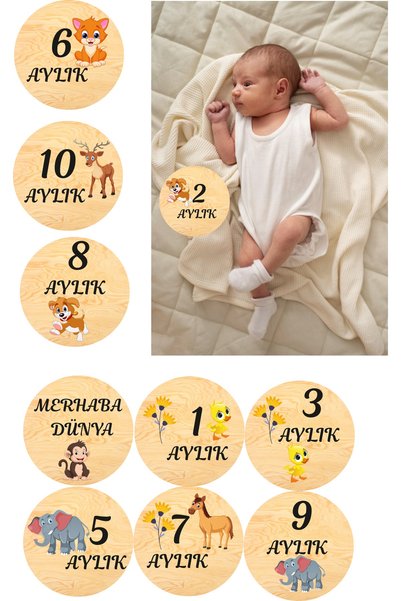 Generic Brand Safari Photo Shoot Baby Cards - Monthly Plaque Set