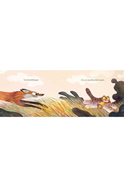 Taze Kitap Hepi Topu Bir Tekir