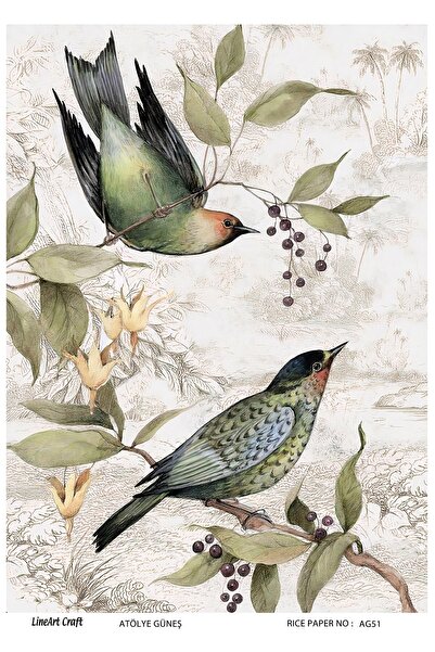 LİNEART Pirinç Dekopaj Kağıdı La-ag51