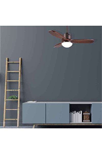 Kaşkar / Taflan Kaşkar-taflan F42206 Uzaktan Kumandalı Lambalı Tavan Vantilatörü