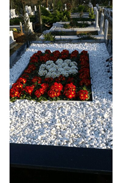 Asenya Mezar Taşı 14 Kg 2-4 Cm Beyaz Dolomit Taş Dere Çakıl Taşı Bahçe Süs Ta...