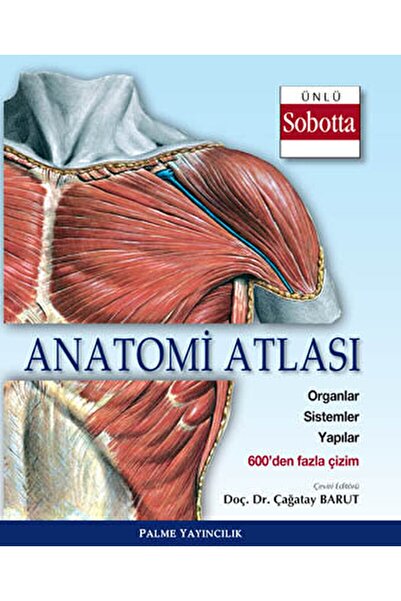 Palme Yayıncılık Anatomi Atlası (sobotta Çizimleri) / Kolektif / / 9786053552437