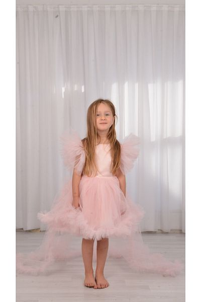 Asel Kids Girl's Powder Design Dress