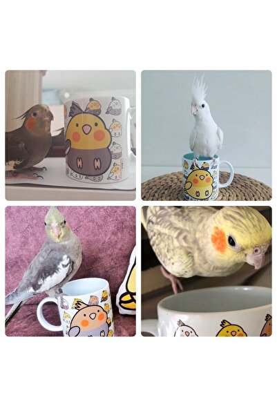 Kuşarkadaşım Gray Love & Parrot Patterned Bird Mug Gift