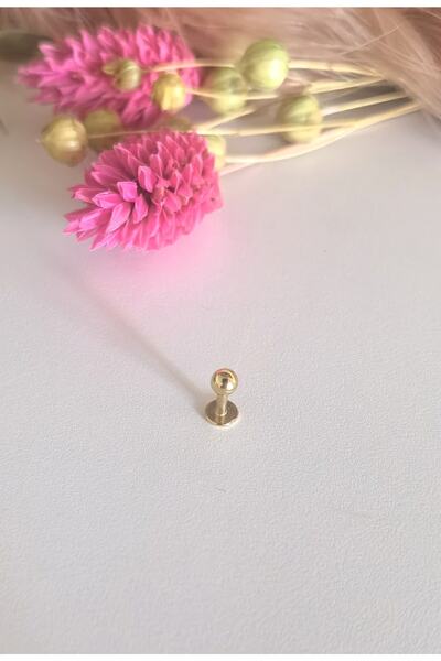 Bylin %100 Cerrahi Çelik Ektra Kısa Barlı Piercing /bar Uzunluğu : 3,5 Mm / 1...