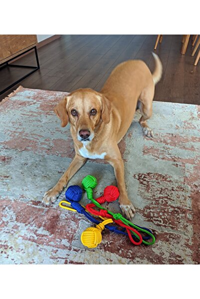 UTDpet Colorful Rope Ball Toy - with Traction for Dogs