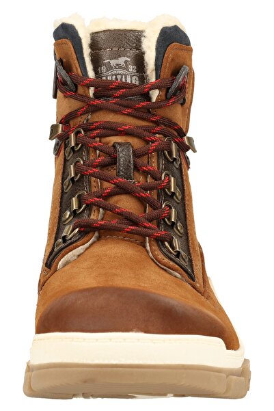 Mustang Εξομάλυνση