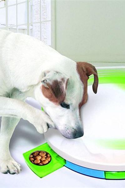 Pawise Dog Training Toy-Dog Training Toy