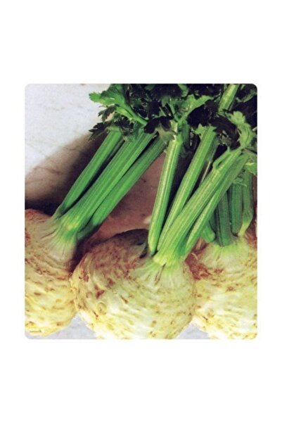 Arzuman Tohum Kereviz Tohumu