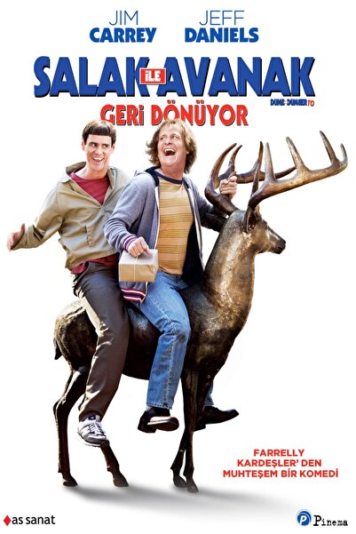 Pal Salak ile Avanak Geri dönüyor  Dumb&Dumber To Dvd