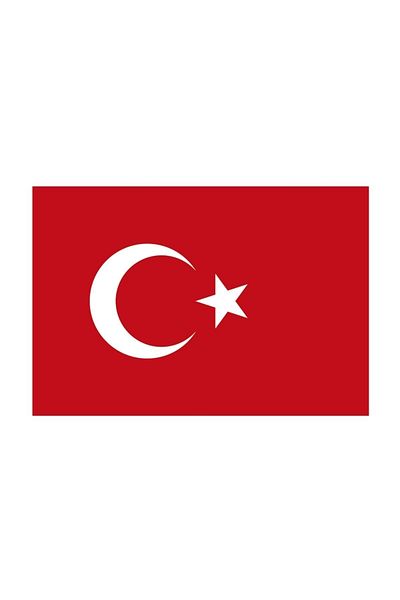 Bigpoint 80X120Cm Flag