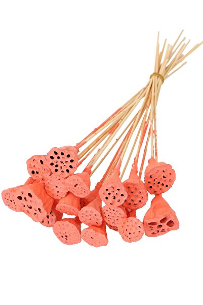 Yapay Çiçek Deposu 20 قطعة من سمك سلمون نبات اللوتس الصغير المشوي على أسياخ ا...