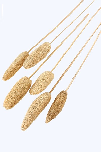 Yapay Çiçek Deposu Tropikal Tropic Luffa Kuru Çiçek Bambu Saplı 6 Adet