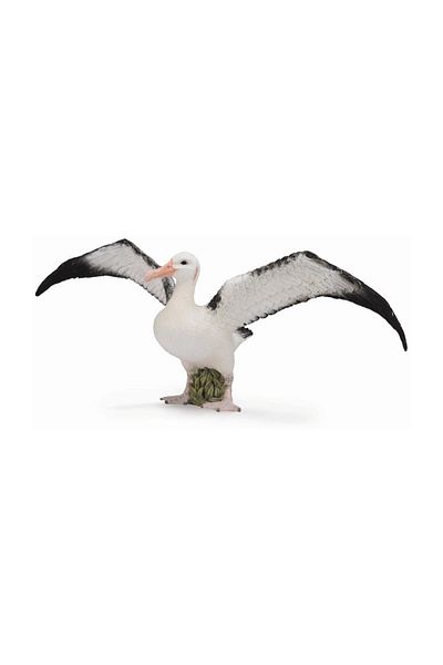 Collecta الباتروس المتجول