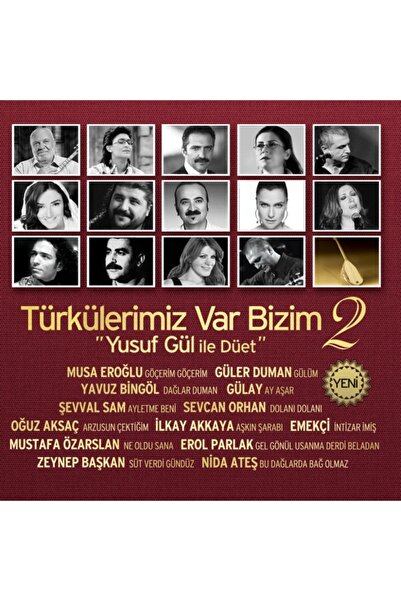 Türkülerimiz Var Bizim 2 Seri (audio Cd)
