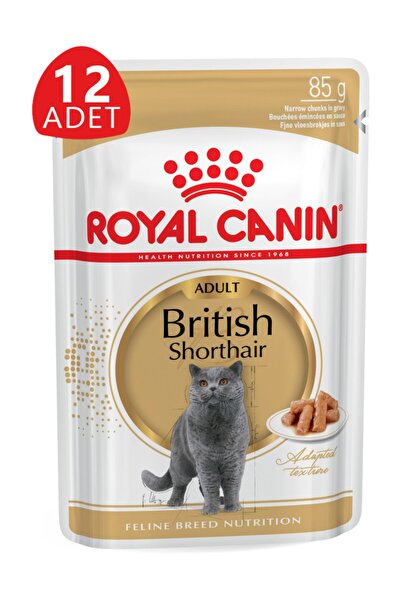 Royal Canin Britisih Shorthair Kedi Konservesi 12 Adet 85 gr