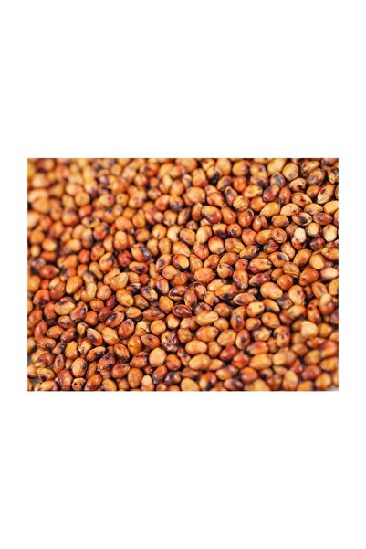 Agrobazaar Sorgum Sudan Otu Tohumu 1 kg
