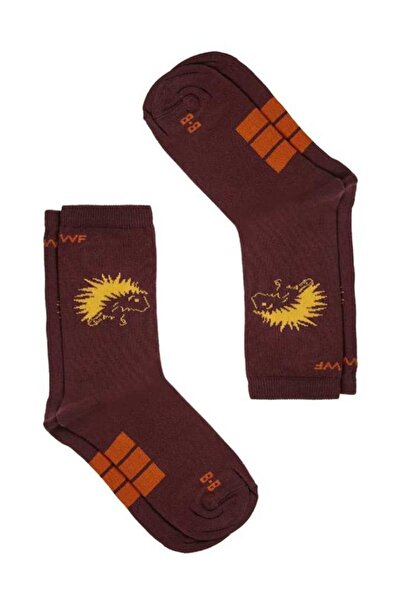 doashop جوارب من القطن العضوي على شكل قنفذ - برقوق