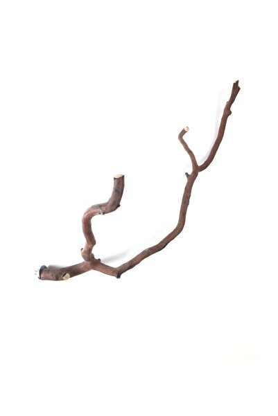 naturbird Doğal Papağan Tünek Iri Cins