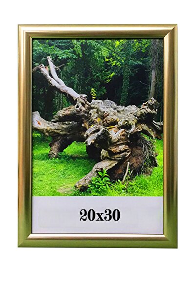 ÖZCANLAR ÇERÇEVE Hediyelik Çerçeve Ev Home Ofis Kişiye Özel Resim Çerçevesi M...