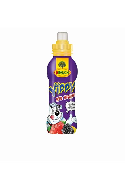 RAUCH Yippy Kırmızı Meyveler 330 Ml X 12