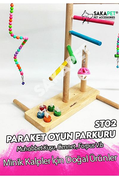 SAKAPET Forpus Sevda Play Track - Budgie St01-02