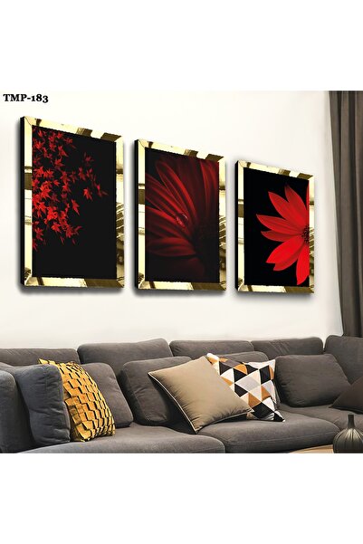 Zevahir Mobilya Dekorasyon Gold Aynalı Pleksi Çerçeveli Kırmızı Çiçek Üçlü Md...